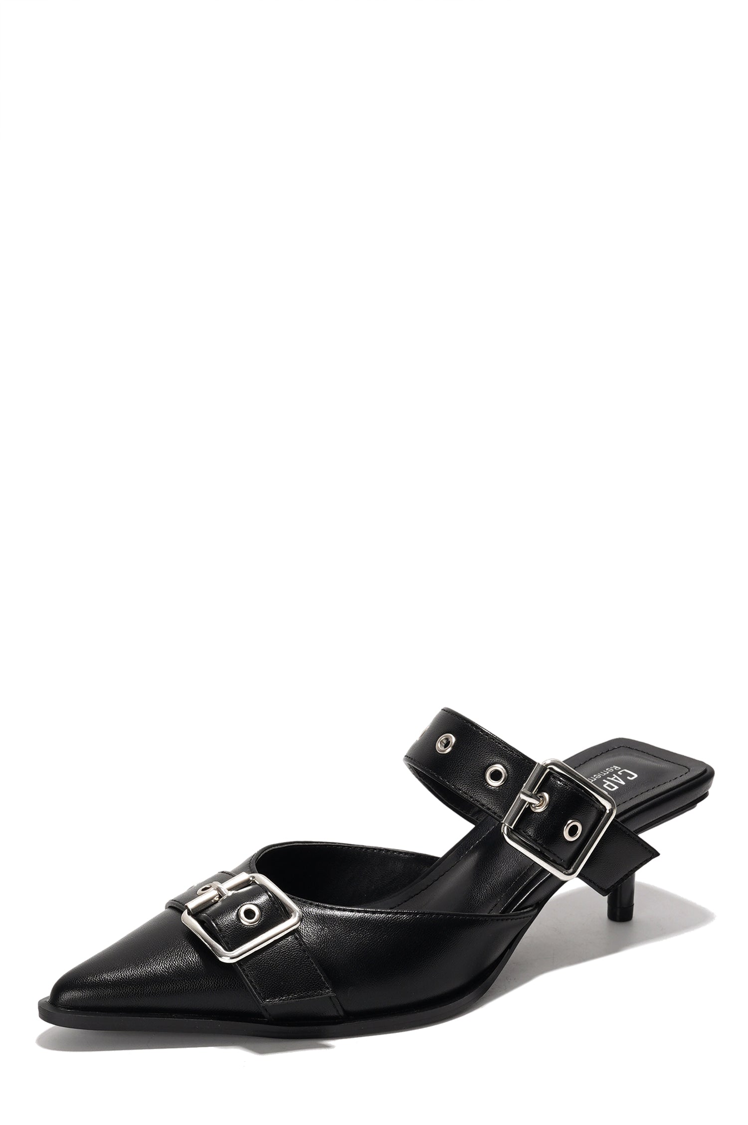 Charmion Women's Slingback Kitten Heels Pumps - Pointed Toe Low Mule Heels - Black - Cape Robbin